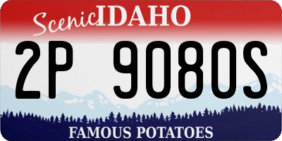ID license plate 2P9080S