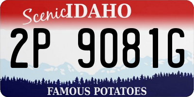 ID license plate 2P9081G