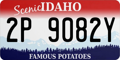 ID license plate 2P9082Y