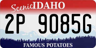 ID license plate 2P9085G