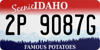 ID license plate 2P9087G