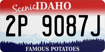 ID license plate 2P9087J