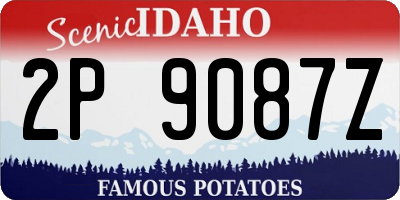 ID license plate 2P9087Z