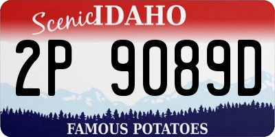 ID license plate 2P9089D