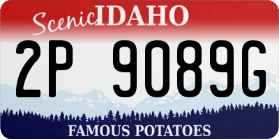 ID license plate 2P9089G
