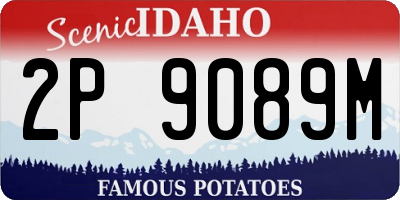 ID license plate 2P9089M