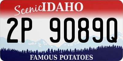 ID license plate 2P9089Q