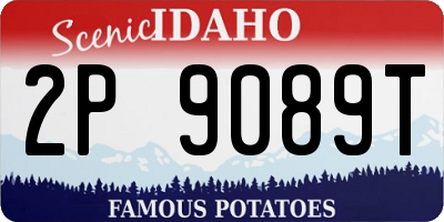ID license plate 2P9089T