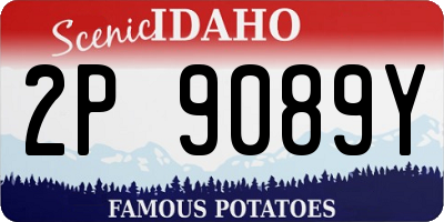 ID license plate 2P9089Y