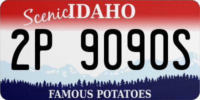 ID license plate 2P9090S