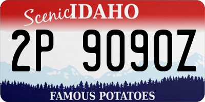 ID license plate 2P9090Z