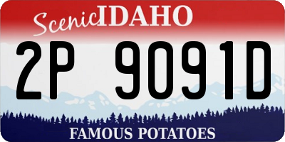 ID license plate 2P9091D