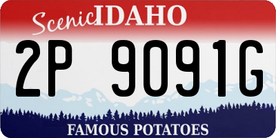 ID license plate 2P9091G