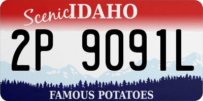 ID license plate 2P9091L