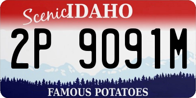 ID license plate 2P9091M