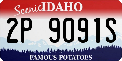 ID license plate 2P9091S