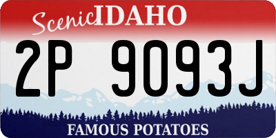 ID license plate 2P9093J