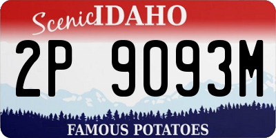 ID license plate 2P9093M