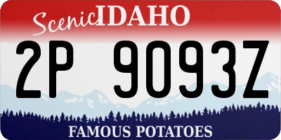 ID license plate 2P9093Z