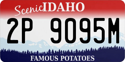 ID license plate 2P9095M