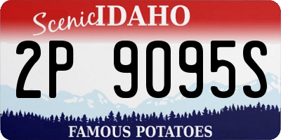 ID license plate 2P9095S