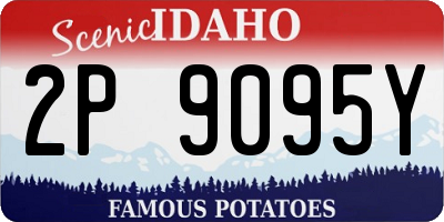 ID license plate 2P9095Y