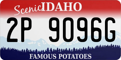 ID license plate 2P9096G