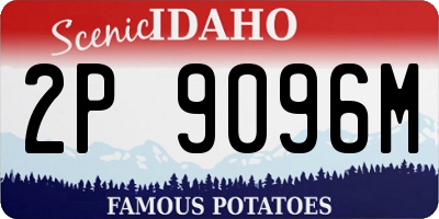 ID license plate 2P9096M