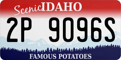 ID license plate 2P9096S
