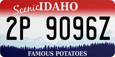 ID license plate 2P9096Z