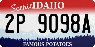 ID license plate 2P9098A