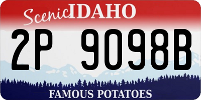 ID license plate 2P9098B