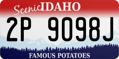 ID license plate 2P9098J
