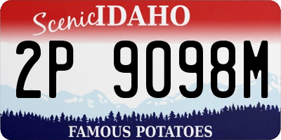 ID license plate 2P9098M