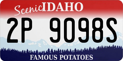 ID license plate 2P9098S
