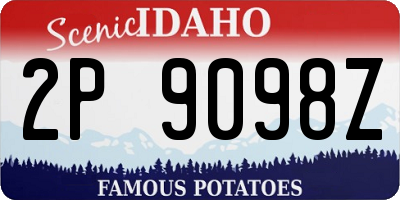 ID license plate 2P9098Z