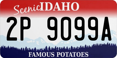 ID license plate 2P9099A