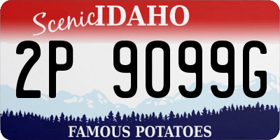 ID license plate 2P9099G