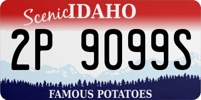 ID license plate 2P9099S