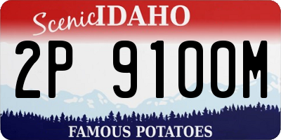 ID license plate 2P9100M