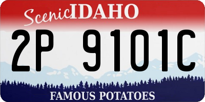 ID license plate 2P9101C