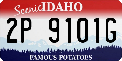 ID license plate 2P9101G