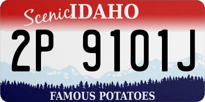 ID license plate 2P9101J