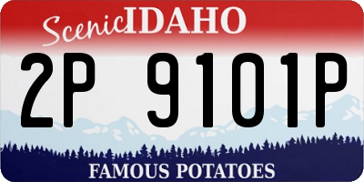 ID license plate 2P9101P