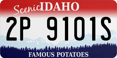 ID license plate 2P9101S
