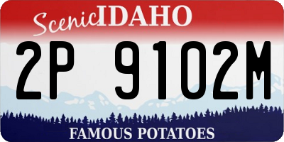 ID license plate 2P9102M