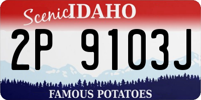 ID license plate 2P9103J