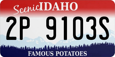 ID license plate 2P9103S
