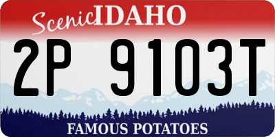 ID license plate 2P9103T