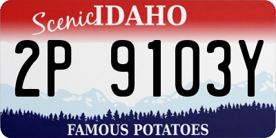 ID license plate 2P9103Y